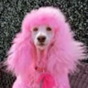 Meet your Posher, Kruschev